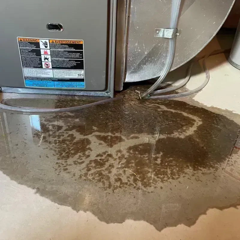 Appliance Leak Cleanup in Owyhee County, ID